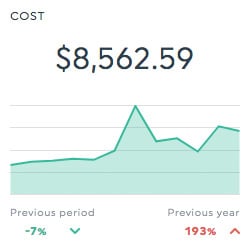 Advertising Campaign Cost Report